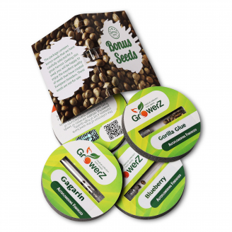 Семена конопли сорта Mix Auto Fem.