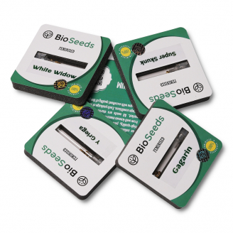 Семена конопли сорта Moby Dick Fem.